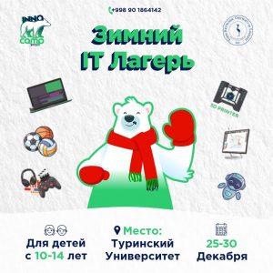 Подробнее о статье “Зимний IT лагерь” от команды “Innocamp”